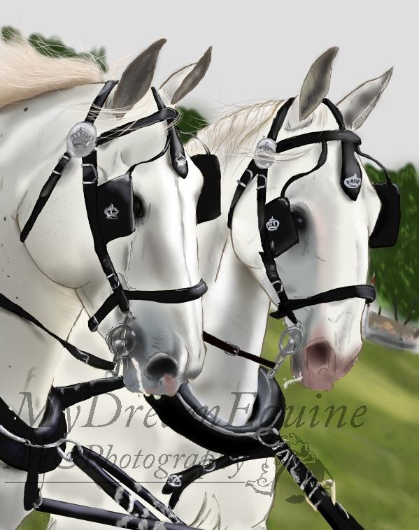 Tegning i Process  - Start på detaljerne af baggrunden :D Græsset er tæt på at gøre mig vanvittig O..O Græs er rimelig svært at detaljere,  >.<' Nu er det begyndt at ligne noget :) billede 25