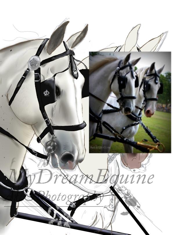 Tegning i Process  - Ref Gapora billede 27