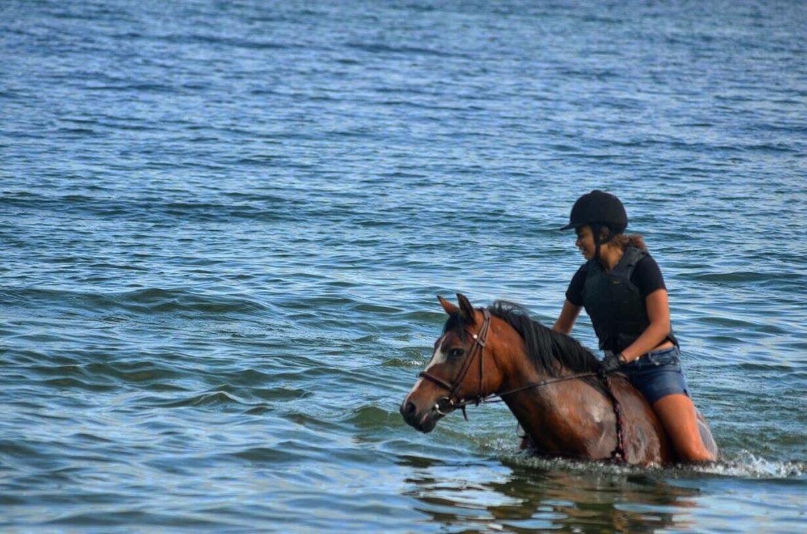 Ridelejr på Humlebækgård 2016 billede 2