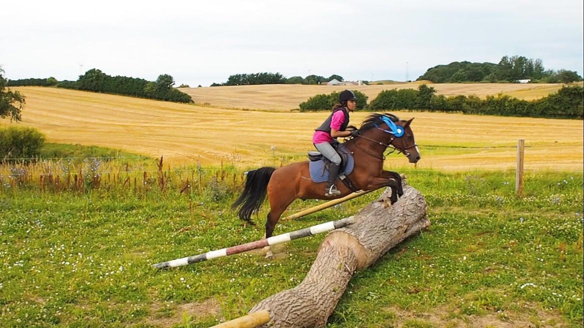Ridelejr på Humlebækgård 2016 billede 1