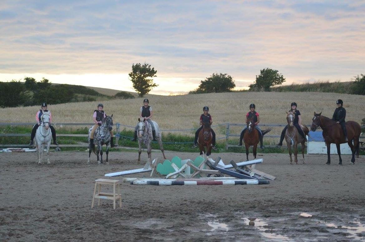 Ridelejr på Humlebækgård 2016 billede 5