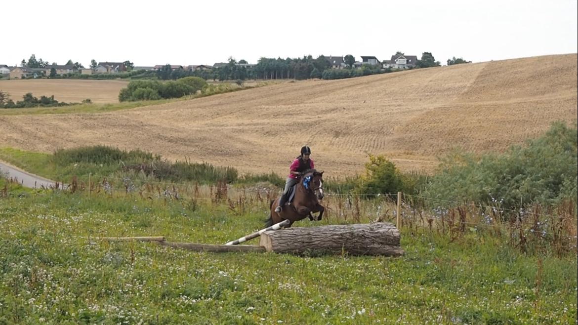 Ridelejr på Humlebækgård 2016 billede 6
