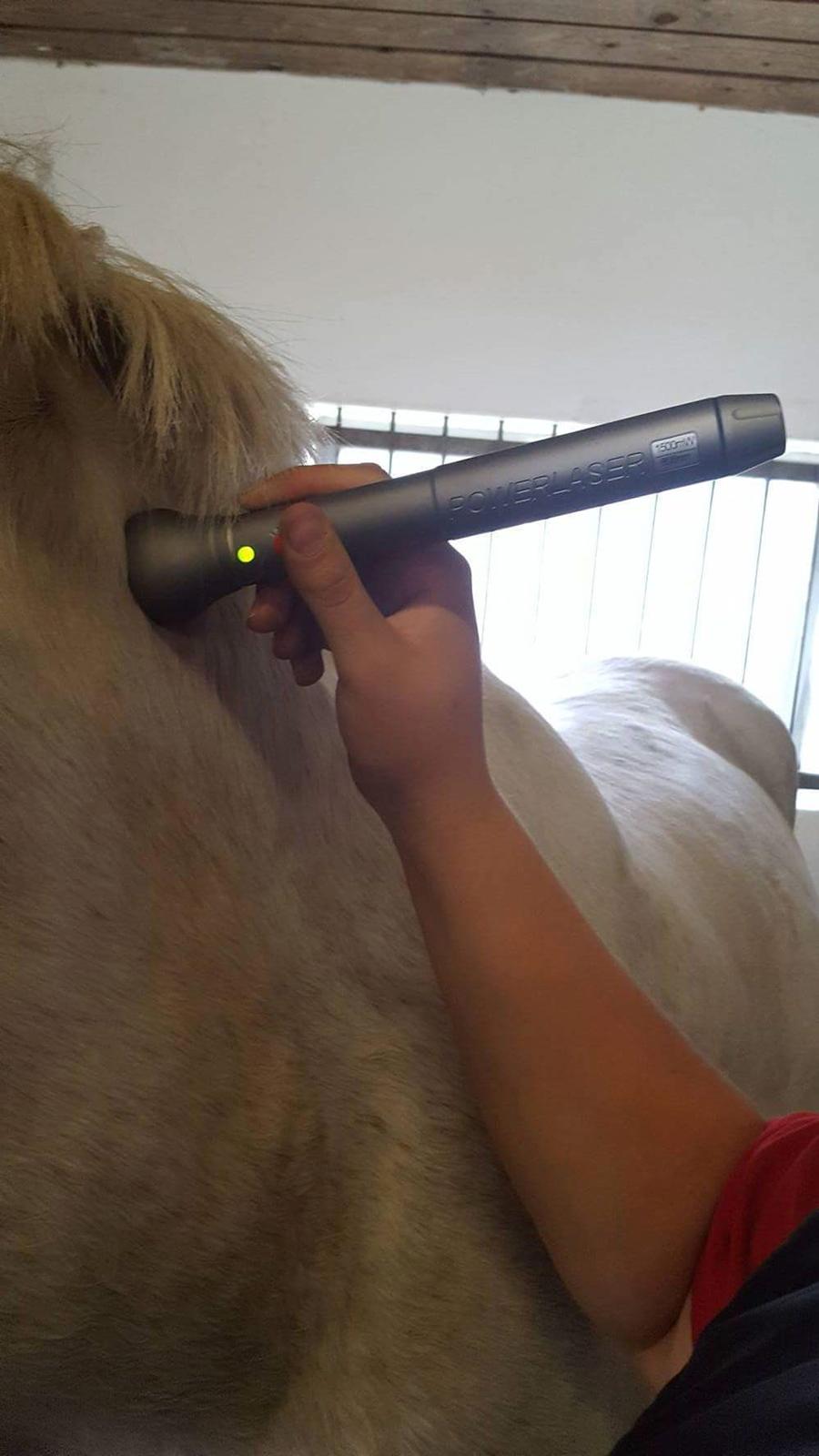 Laser-terapi & akupressur  billede 2