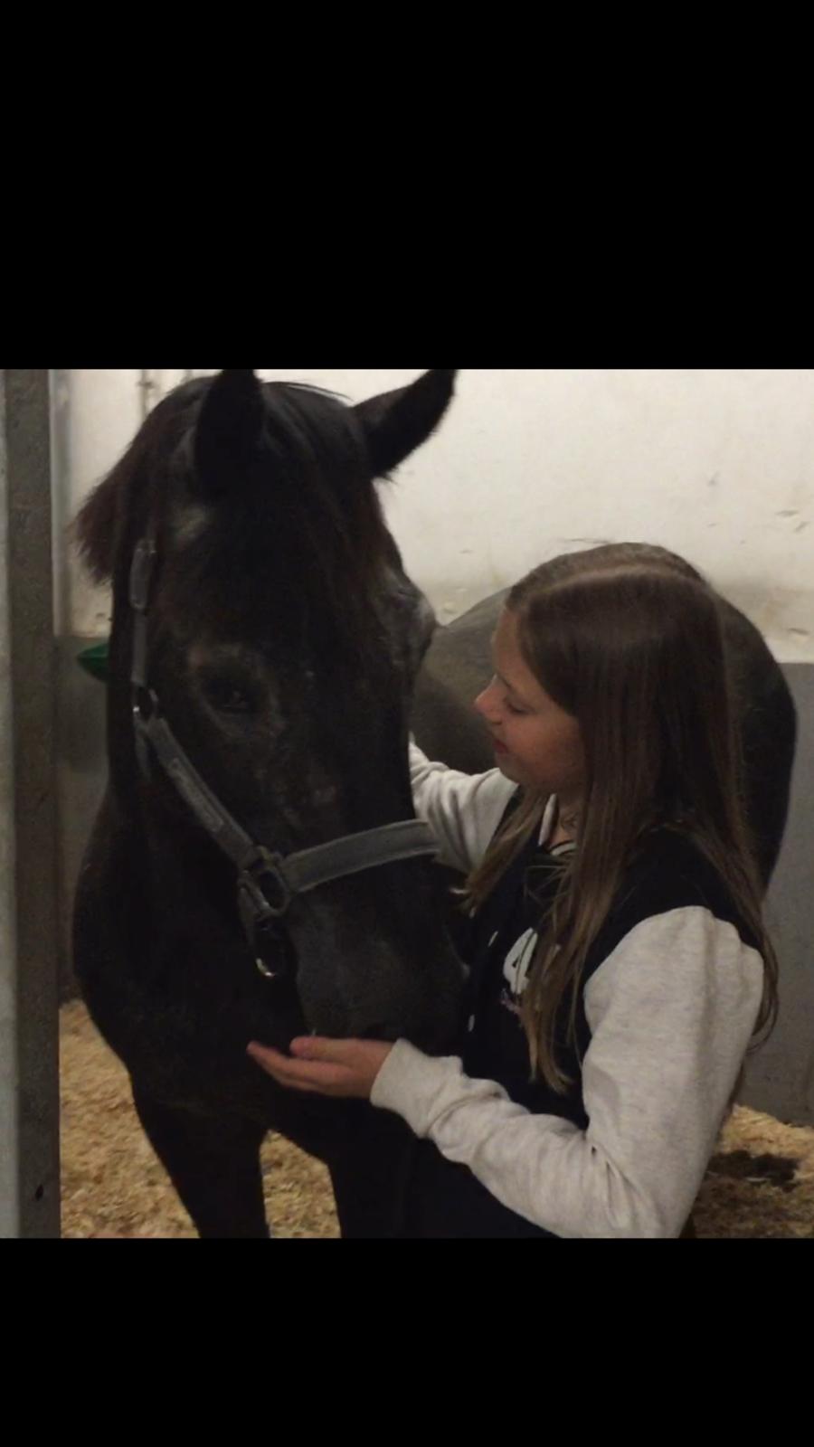 Silvas hov operation (keratom) billede 16