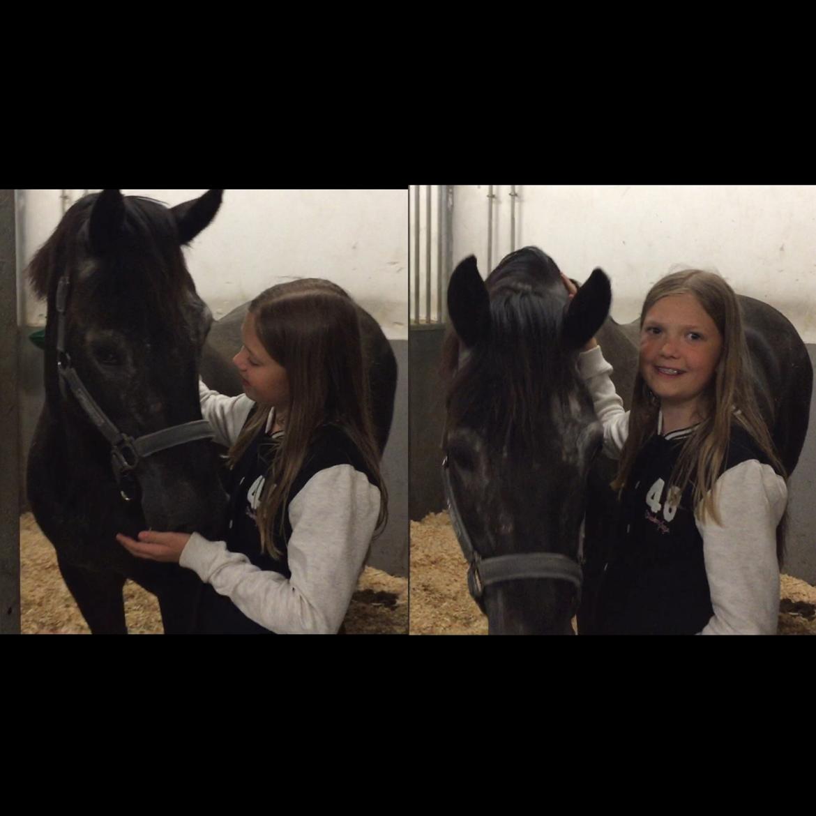 Silvas hov operation (keratom) billede 17