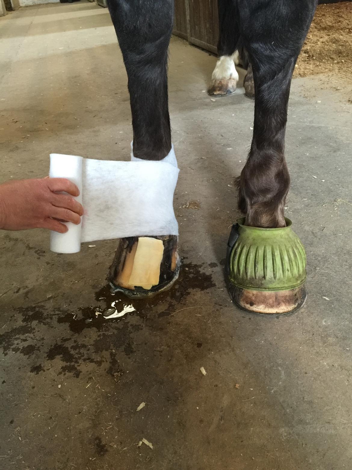 Silvas hov operation (keratom) - forbindings skift - vi bliver gode til det :-) billede 28