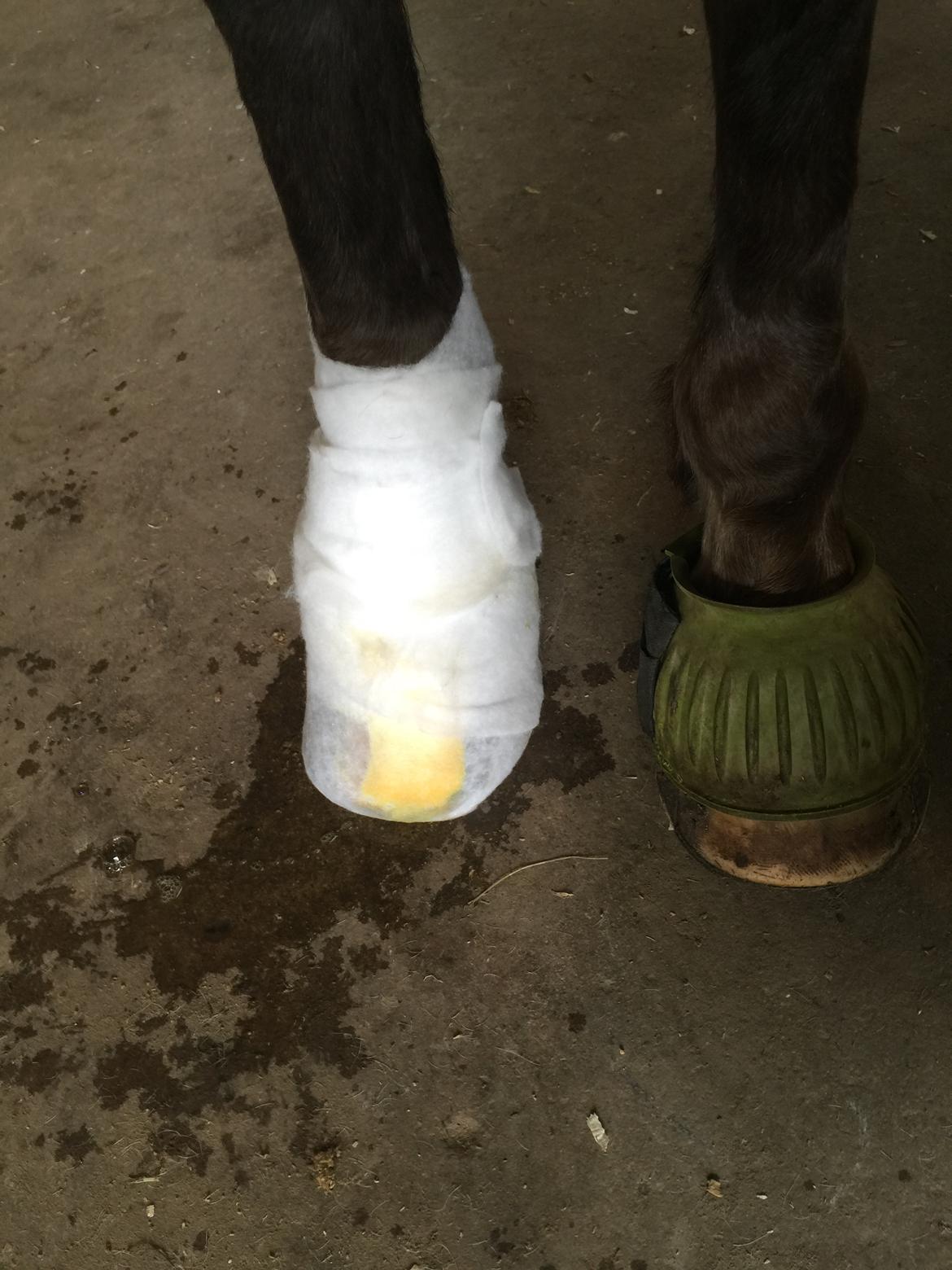 Silvas hov operation (keratom) - forbindings skift - vi bliver gode til det :-) billede 29