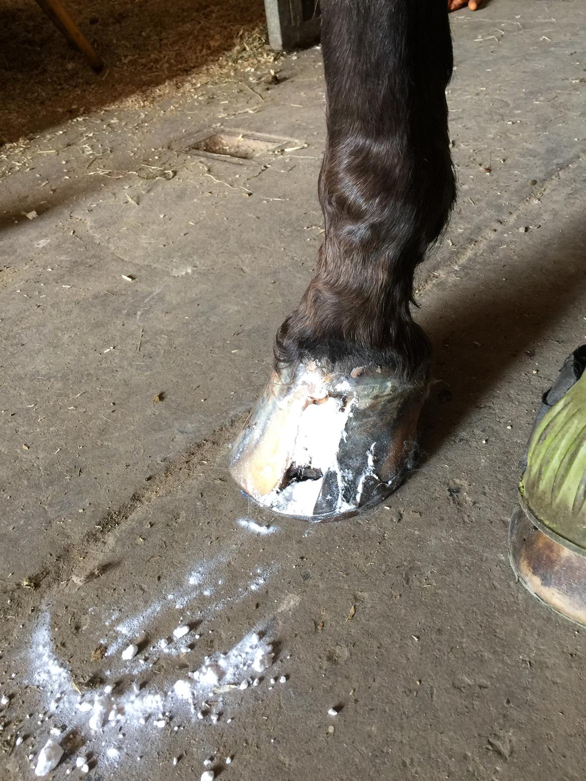 Silvas hov operation (keratom) billede 38