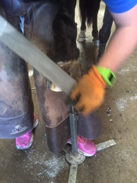 Silvas hov operation (keratom) billede 78