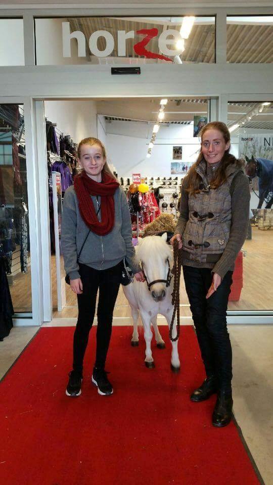 Horze Hillerød d 1/10-16 billede 1