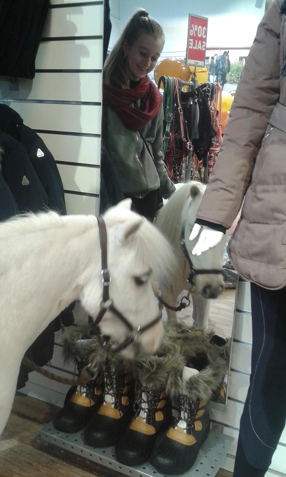 Horze Hillerød d 1/10-16 billede 4