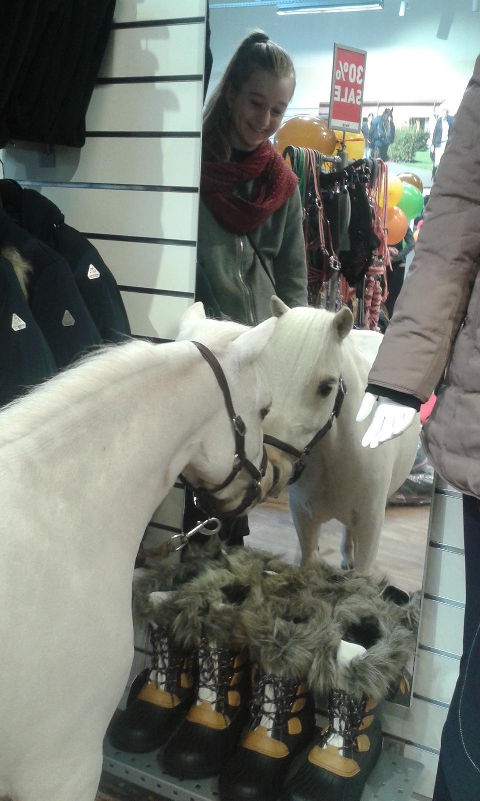 Horze Hillerød d 1/10-16 billede 5