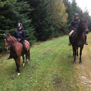 Tira's sir Caspian og Røkvi