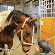 Prinsesse af Mønstergården