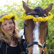 Prinsesse af Mønstergården