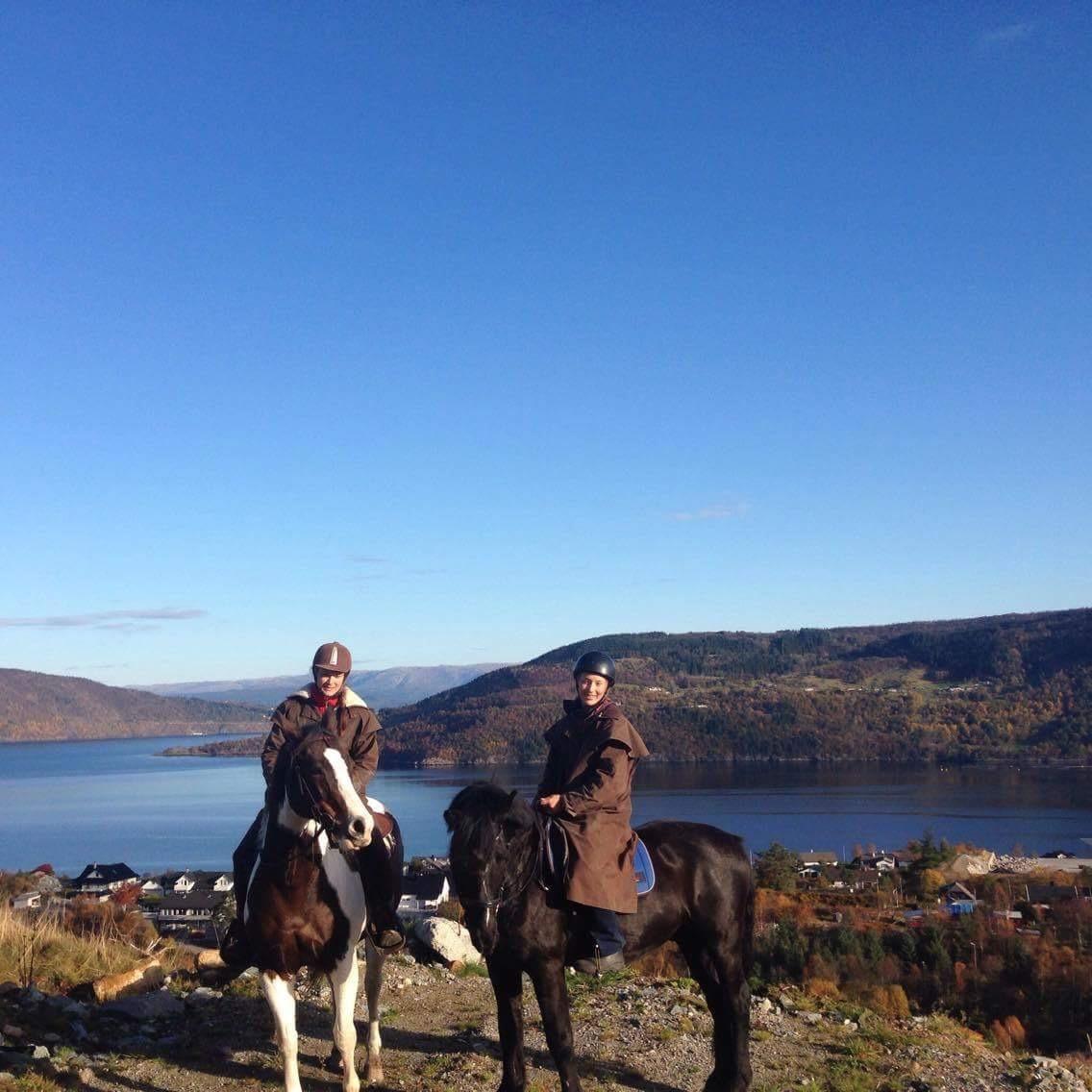 Alle heste jeg har redet i mit liv. <3 - henry, født 2010, koldblodstraver. vallak fra en rideskole i Norge. (til højre) Jeg besøgte min søster, som er flyttet til falkanger og arbejder på en rideskole. Min søsters hest Blaze (er også i det her album) var desværre halt, så christine red bounty (til venstre) og jeg red ham her. Super fed tur. efterårsferien 2016 billede 78