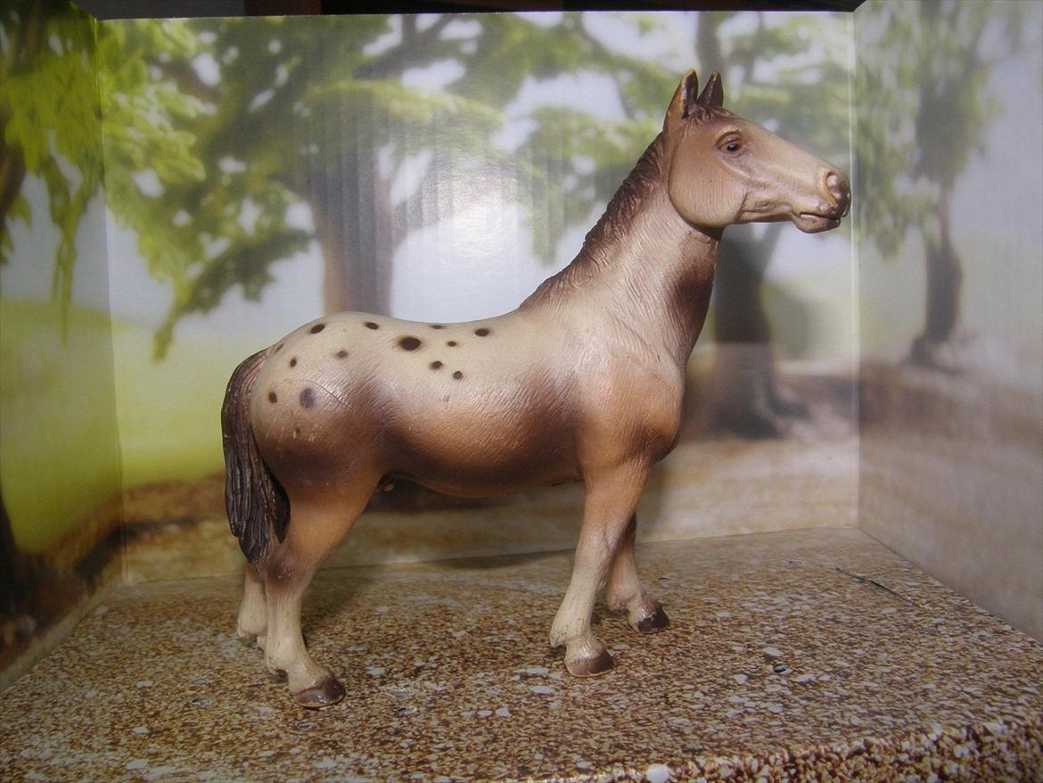 Mine Schleich Dyr - Navn: Monty. Race: Appaloosa. Køn: Hingst. Alder: 12 år billede 10