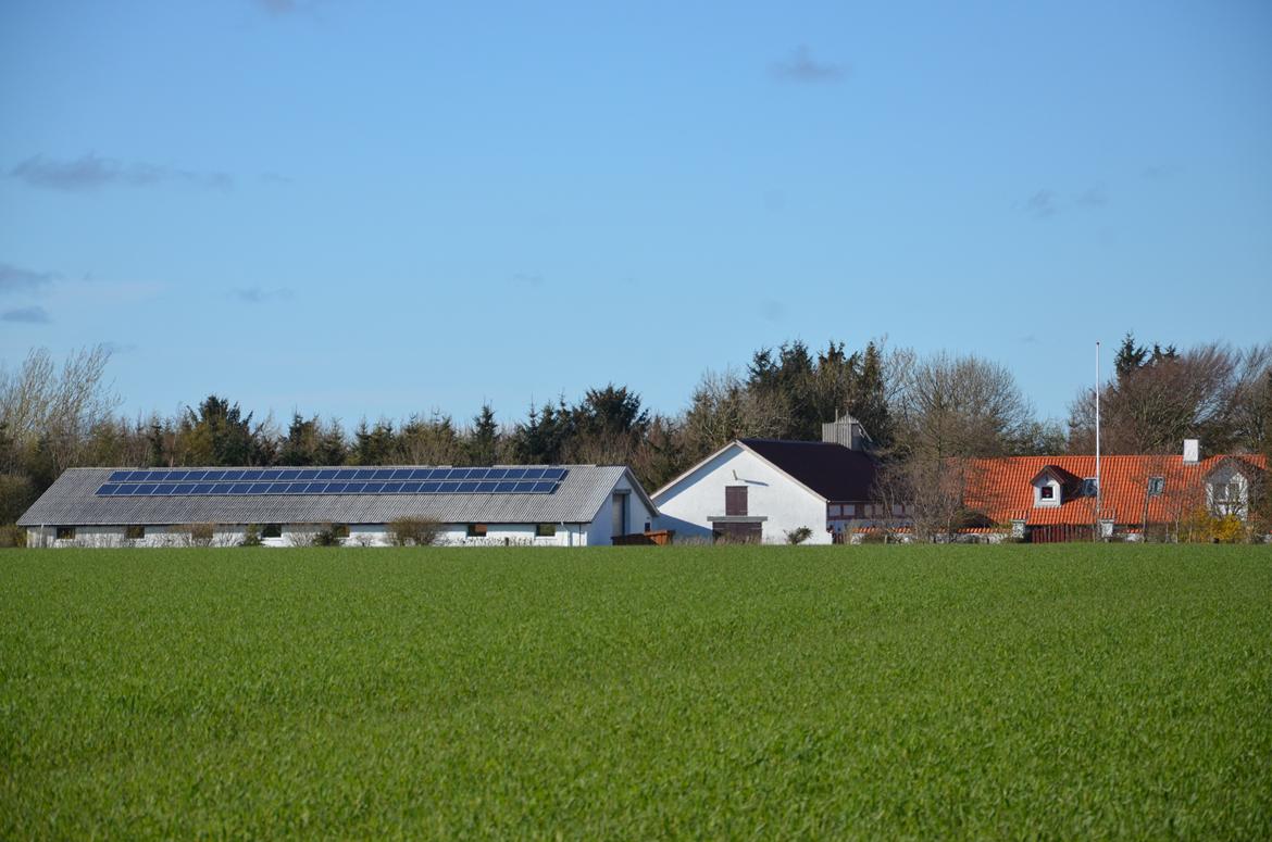 Mit hjem og min hverdag - Gården, set fra den sydlige mark, som sidste sommer var tilstået med vinterrug. Bemærk solcellerne på ladetaget, som producerer vores strøm. billede 2