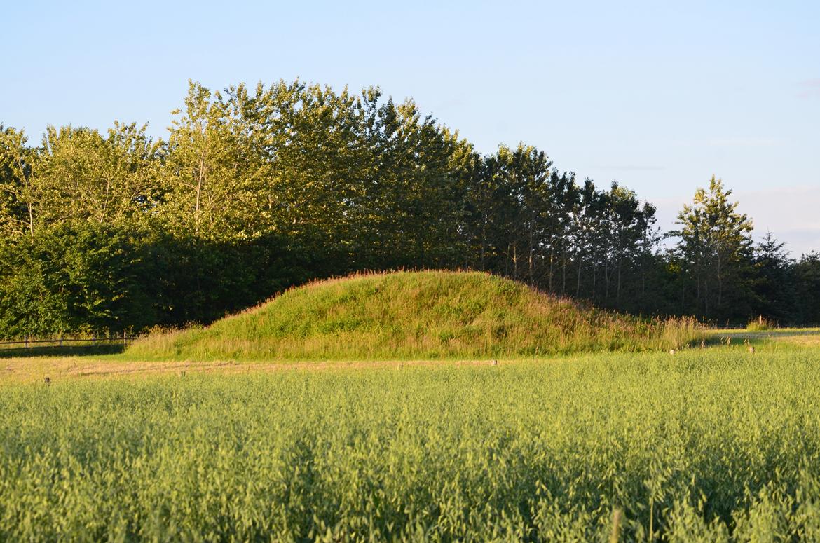 Mit hjem og min hverdag - Gårdens stolthed; den cirka 3.000 år gamle gravhøj, Hedegaards Høj. billede 9