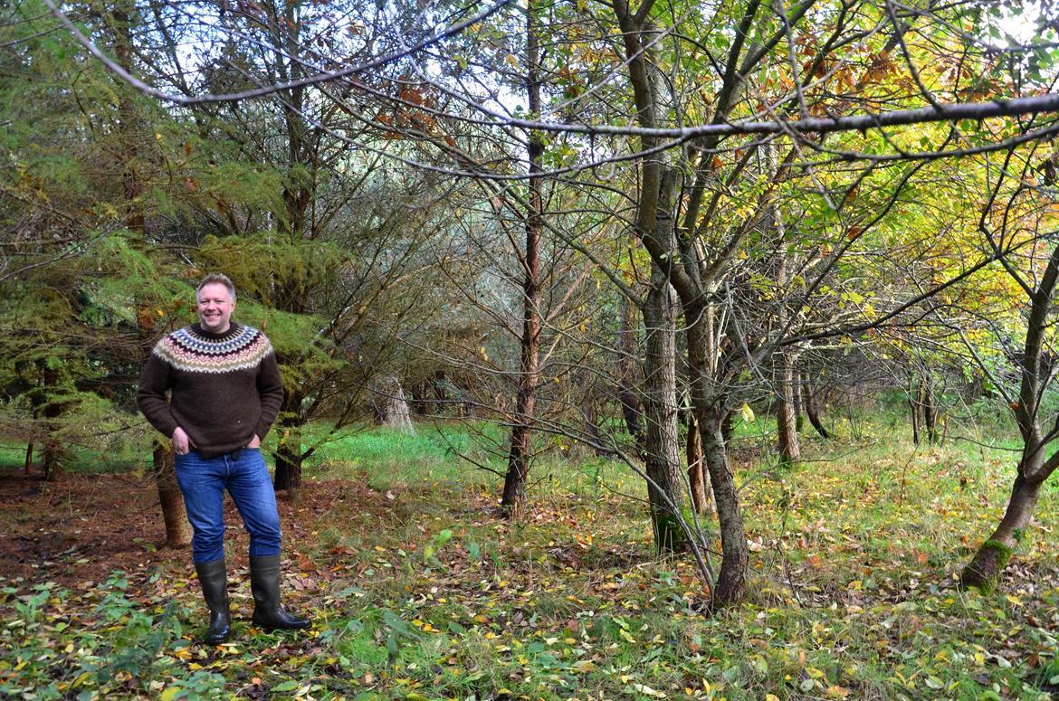 Mit hjem og min hverdag - Anders i lindelunden midt i Kirsebærskoven. billede 29