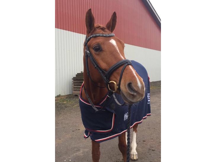 {{currentPhoto.altText}} billede {{currentPhoto.number}}