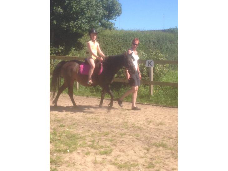 {{currentPhoto.altText}} billede {{currentPhoto.number}}