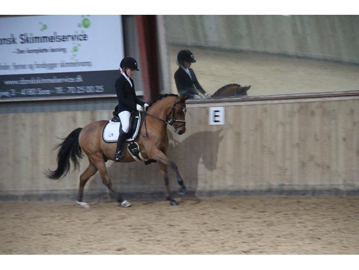 {{currentPhoto.altText}} billede {{currentPhoto.number}}