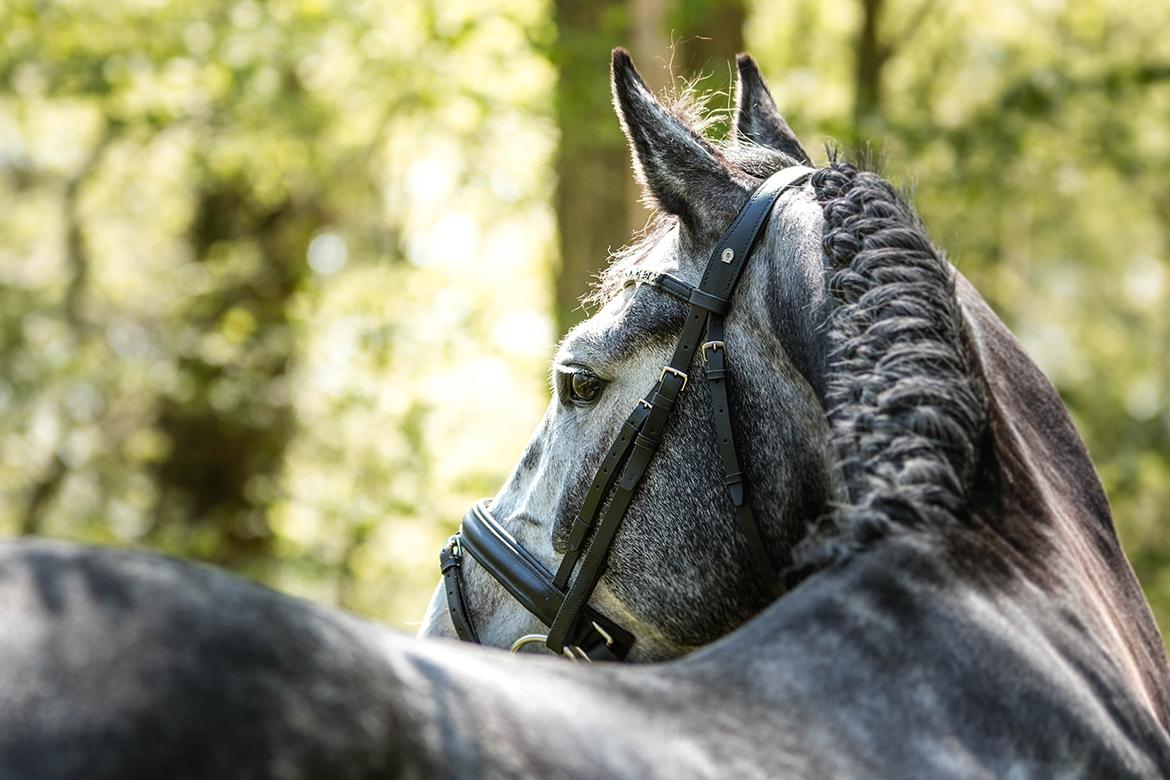 Fotoshoot "Katja Jensen Photography" billede 5