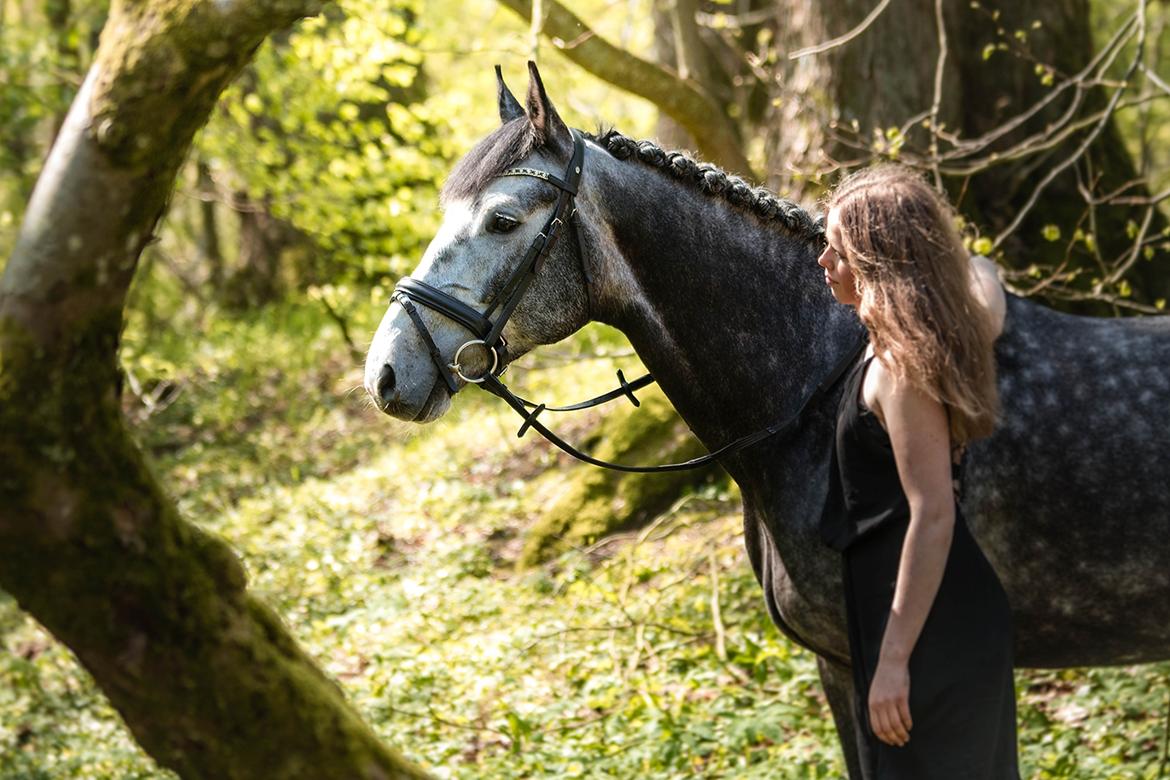 Fotoshoot "Katja Jensen Photography" billede 7