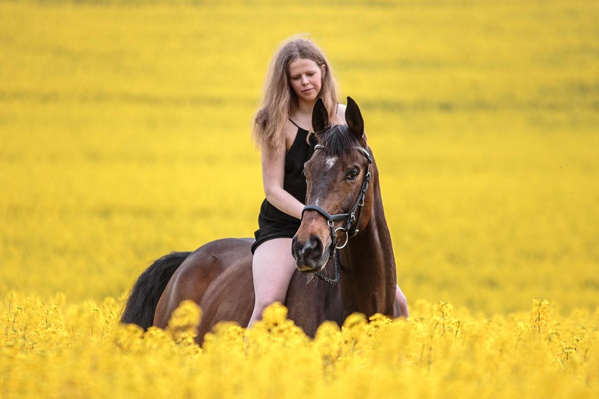 Fotoshoot "Katja Jensen Photography" billede 17