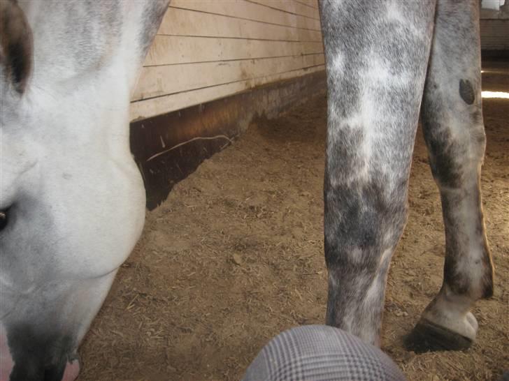 Charme, Selvtillid & Lækkert hår :P billede 3