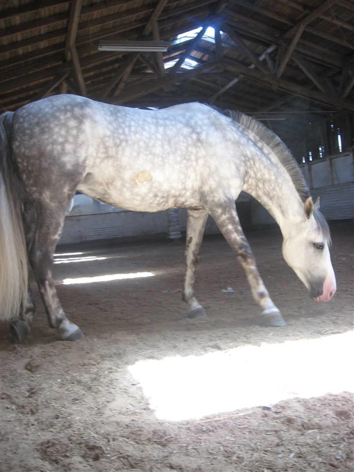 Charme, Selvtillid & Lækkert hår :P billede 4