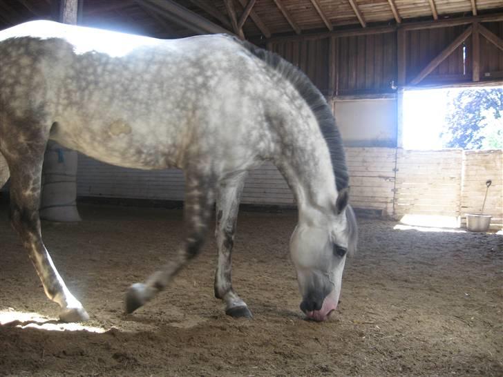 Charme, Selvtillid & Lækkert hår :P billede 5