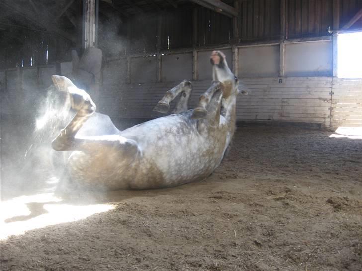 Charme, Selvtillid & Lækkert hår :P billede 6