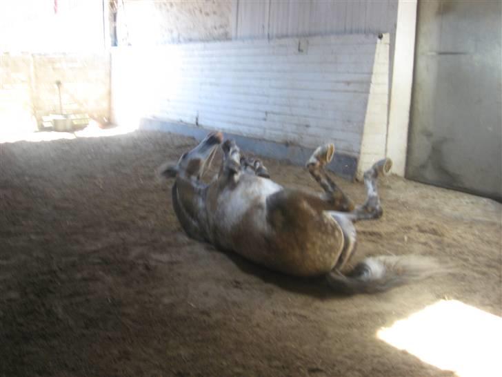 Charme, Selvtillid & Lækkert hår :P billede 11