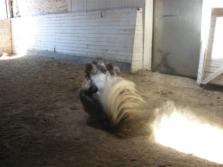 Charme, Selvtillid & Lækkert hår :P billede 12