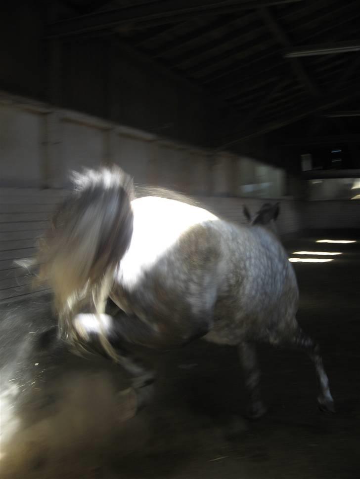 Charme, Selvtillid & Lækkert hår :P billede 13