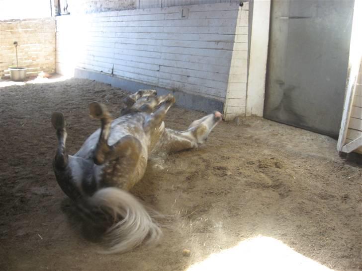 Charme, Selvtillid & Lækkert hår :P billede 14