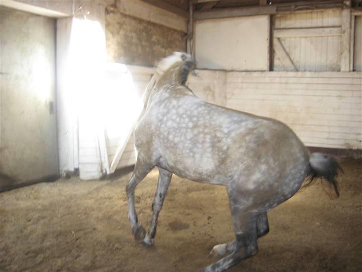 Charme, Selvtillid & Lækkert hår :P billede 16