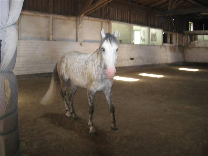 Charme, Selvtillid & Lækkert hår :P billede 17