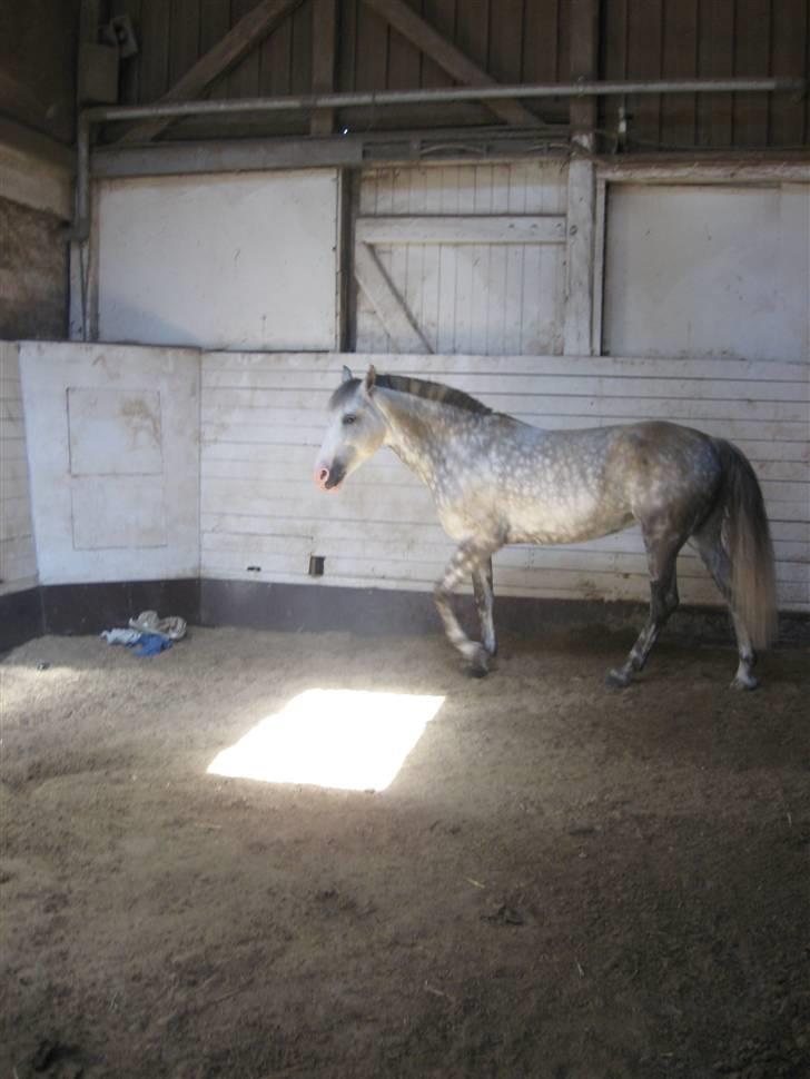 Charme, Selvtillid & Lækkert hår :P billede 18