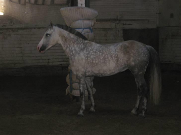 Charme, Selvtillid & Lækkert hår :P billede 19