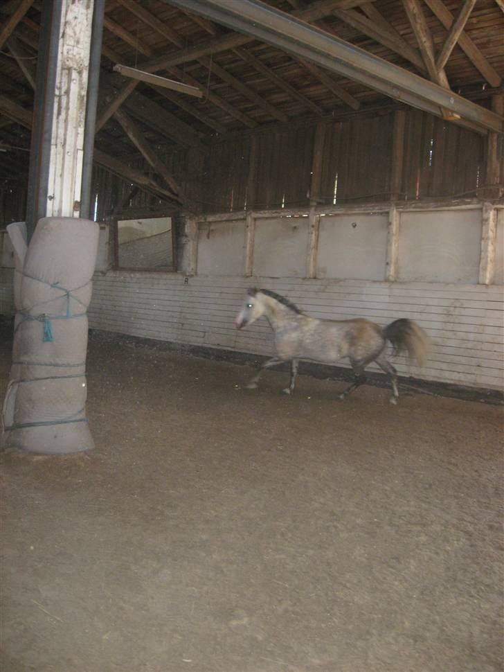 Charme, Selvtillid & Lækkert hår :P billede 20