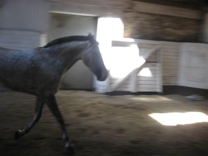 Charme, Selvtillid & Lækkert hår :P billede 21