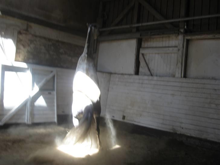 Charme, Selvtillid & Lækkert hår :P billede 22