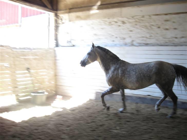 Charme, Selvtillid & Lækkert hår :P billede 23