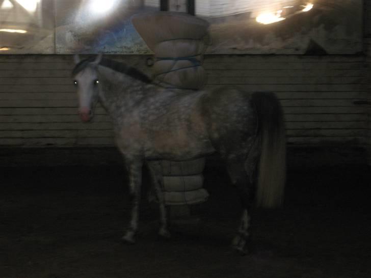 Charme, Selvtillid & Lækkert hår :P billede 24