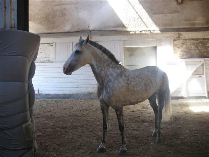 Charme, Selvtillid & Lækkert hår :P billede 25