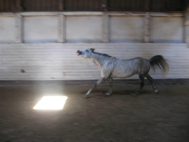 Charme, Selvtillid & Lækkert hår :P billede 26