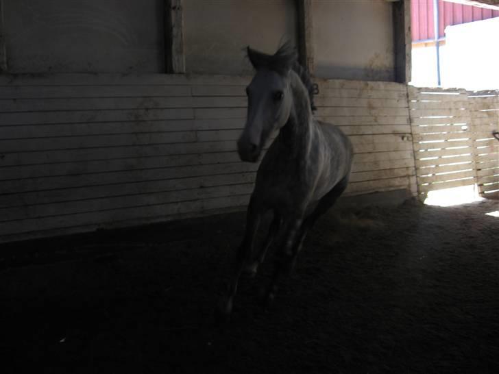 Charme, Selvtillid & Lækkert hår :P billede 27